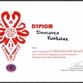 Powiększ obraz: certificate 42
