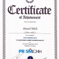 Powiększ obraz: certificate 4