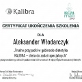 Powiększ obraz: certificate 40
