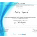 Powiększ obraz: certificate 5