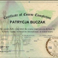 Powiększ obraz: certificate 5