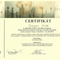 Powiększ obraz: certificate 34