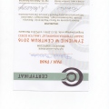 Powiększ obraz: certificate 7