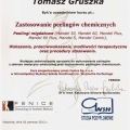 Powiększ obraz: certificate 81