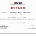 Powiększ obraz: certificate 22
