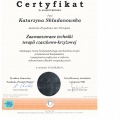 Powiększ obraz: certificate 6