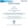 Powiększ obraz: certificate 3