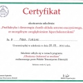 Powiększ obraz: certificate 13