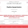 Powiększ obraz: certificate 78