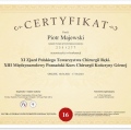 Powiększ obraz: certificate 22
