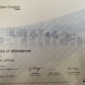 Powiększ obraz: certificate 9