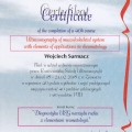 Powiększ obraz: certificate 8