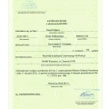 Powiększ obraz: certificate 12