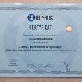 Powiększ obraz: certificate 3