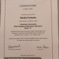 Powiększ obraz: certificate 31
