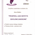Powiększ obraz: certificate 5