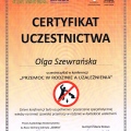 Powiększ obraz: certificate 5