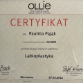 Powiększ obraz: certificate 1