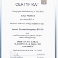 Powiększ obraz: certificate 35