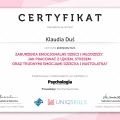 Powiększ obraz: certificate 5