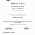 Powiększ obraz: certificate 18