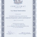 Powiększ obraz: certificate 3