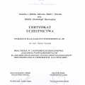 Powiększ obraz: certificate 56