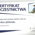 Powiększ obraz: certificate 13