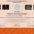 Powiększ obraz: certificate 11