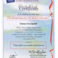 Powiększ obraz: certificate 19
