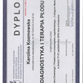 Powiększ obraz: certificate 20