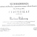 Powiększ obraz: certificate 8