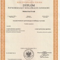 Powiększ obraz: certificate 2