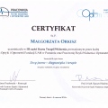 Powiększ obraz: certificate 7