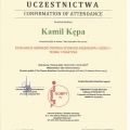 Powiększ obraz: certificate 2
