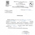 Powiększ obraz: certificate 6