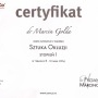 Powiększ obraz: certificate 48