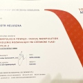 Powiększ obraz: certificate 22