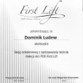 Powiększ obraz: certificate 26