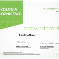 Powiększ obraz: certificate 6