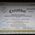 Powiększ obraz: certificate 1