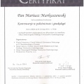 Powiększ obraz: certificate 19