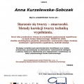 Powiększ obraz: certificate 13