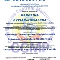 Powiększ obraz: certificate 4