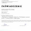 Powiększ obraz: certificate 19