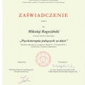 Powiększ obraz: certificate 7