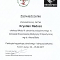 Powiększ obraz: certificate 12