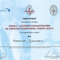 Powiększ obraz: certificate 6