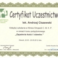 Powiększ obraz: certificate 5