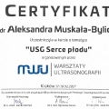 Powiększ obraz: certificate 8